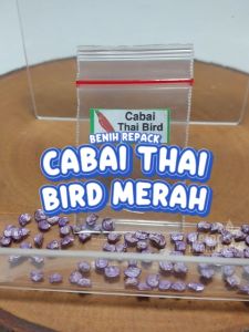 Benih Cabai Thai Bird Merah Unggulan Berkualitas biji bibit repack rawit thailand burung peper pepper pedas pedes hydroponik hidroponik tanaman berbiji pot