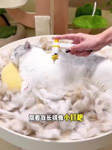 7o | Rotatable Fine-Toothed Needle Comb Hair Removal Cat Hair Grooming Tool