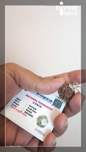 Lab Certified Original Rudraksha Bead 5 Mukhi (5 Face)