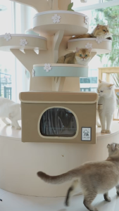 IGLOO PET HOUSE 🐱อะไหล่ บ้านปรับอากาศสำหรับสัตว์เลี้ยง🐱❄️ฐานรอง ไซส์ S / M❄️
