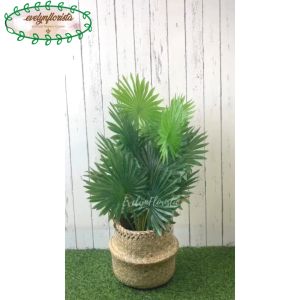 Pohon Daun Palem Kipas Sadeng X12 Semi Latex Artificial Cover Pot Anyaman Purun Belly Handle Tanaman Hias Pajangan Dekorasi