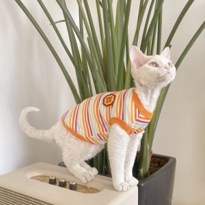 Tutu De Wen Cat Clothes Pure Cotton Elastic Striped Vest for Hairless Cats Such as Sphinx Cats 4 Colors Available Orange