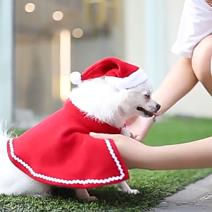 Thời trang giáng sinh Noel cho Chó Mèo - Love pets shop
