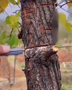 Ktools Hand Saws for Tree Trimming Outdoor Portable Garden Multi-Function Saw with Blade Mini Cutting Tool Wood Saws