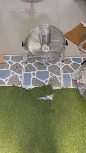 QUẠT QUỲ NĂNG LƯỢNG 14 INCH CÔNG SUẤT 25W