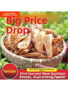 Fresh & Tender Bamboo Shoots 500g