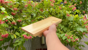 Thớt gỗ sushi sashimi 30x9cm trang trí decor chụp ảnh