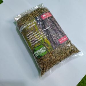 Jual benih ketan hitam baru original per bungkus isi 250 Grm