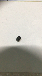 (5 con) Transitor Mở Relay Xả Đá Tủ Lạnh Toshiba Tran kép Toshiba VE (mới chính hãng)