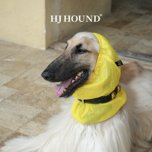 Elastic Net Face Dog Headscarf for Afghan Hounds Springer Spaniel Canine Cochon DInde Pet Accessories Dog Headwear