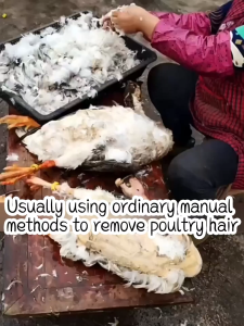 Electric Defeather Plucker Handheld Chicken Plucker Machine Poultry Plucker Portable Chicken Defeather Machine Enduring