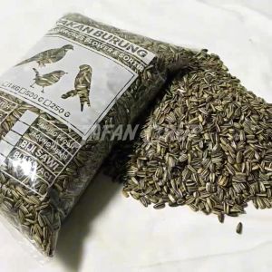 Biji Kwaci Bersih 1 Kg Pakan Burung Love Bird Parkit Paruh Bengkok KEMASAN PREMIUM