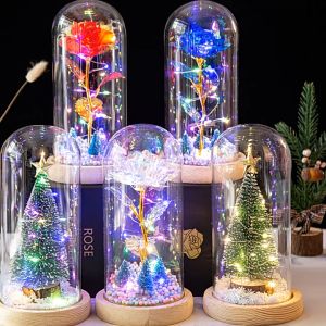 Quà Noel Cây thông - Ông già noel  lồng kính đế gỗ đèn led