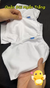 (6-55kg) COMBO 5 Quần đùi ngắn trắng thun cotton 100% cho bé