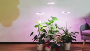 Đèn LED Trồng Cây Quang Phổ Toàn Diện Có Thể Điều Chỉnh Tích Hợp Hẹn Giờ Sử Dụng Nguồn USB Điều Chỉnh Được Chiều Cao Và Góc Chiếu Sáng