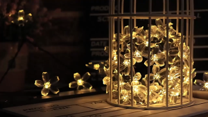 đèn led dây dài 7m 50 bóng led nhiều kiều sử dụng năng lượng mặt trời