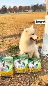JooyPet 9 Tray Freeze-Dried Dog Food 20% Raw Meat Bone Chondroitin Sulfate para sa Kalusugan ng Tiyan Matitibay na Buto Pangangalaga sa Mata,20kg