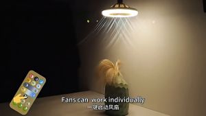 Smart Fanlight & Adjustable Ceiling Fan: A Comprehensive Guide