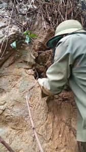 Combo 2 chai Mật ong Khoái + Mật ong Đá rừng Cúc Phương