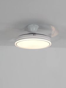 DGY | Minimalist Quiet Ceiling Fan Light