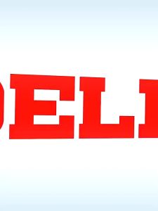 Delixi Professional Locking Plier Multifunction Clamp Woodworking Plumbing Heavy Duty Lock Plier Playar Muncung Tirus