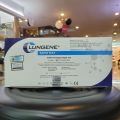 clungene Lungene alat swab antigen rapid test akurat original. 