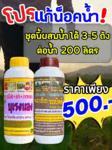 ชุดสุดคุ้ม บุเรงนอง คู่กับ ระเบิดดิน แก้น็อคน้ำ ต้นเหลือง แกร็น ต้นม่วง