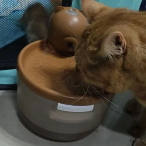 HATELI 2.5L Wireless Automatic Sensing Cat Dog Water Dispenser Pet Puppy Water Feeder 3000mAh Battery Powered Mute Water Fountain with LED Light