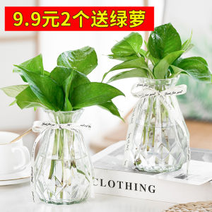 Nordic Style Glass Flower Vase Living Room Decorative Items Transparent Hydroponic Water Cultivation Small Container Flower Arrangement