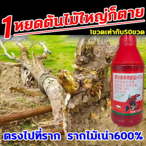 กระเป๋าแผล 1หยดต้นไม้ 200ml หมอน ยาฆ่าตอไม้ 50 ลูก ความตรงกับแทรกในยาฆ่าตอ สุขภาพดี หน้าฝนการตัดสินใจ ยากำจัดต้นไม้ ยาฆ่าไผ่ ความเรียบเนียนด้วย สารกำจัดกอไผ่