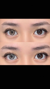 【Contact Lenses Buy 1 Take 3】Magister Contact Lens with Solution Set/ 1Pair Graded Contact Lenses+1 Contact Lens Solution(120ml)+1 Contact Lens Applicator Set+Lens Case