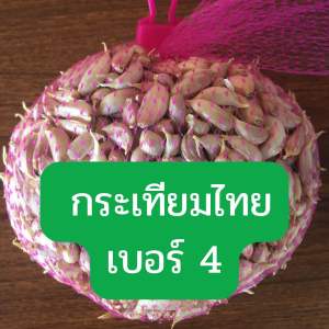 กระเทียมไทยแกะกลีบเบอร์ 4 (เล็กสุด)1 กก