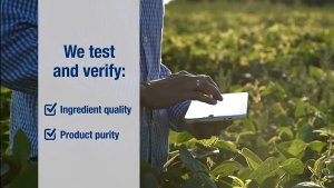 Herbalife official F1 Nutrition Blend Meal Replacement Weight Loss protein Shake 550g (4 flavors)