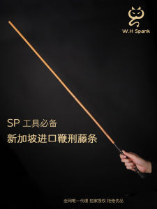 Willow Whip W.H Spanking Training Dog Punishment Tool Circle Practice Discipline Teaching Cudgel Business Supplies