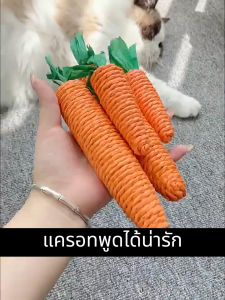 😸ของเล่นแมวกัด🐶รูปแครอท ไม้แมวเมา ไม้แมวเมา ไม้ขัดฟัน ไม้ขัดฟันแมว ของเล่นแมว แมว สะอาด ปลอดภัย ของเล่นสัตว์เลี้ยง🐾 🐾