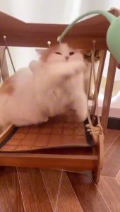 Rat Tail Cat Toy Turnable Cat Teaser DogToy Mainan