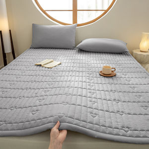 NAIYOUCHENG | Cotton Padded Antibacterial Mattress Set For All Seasons