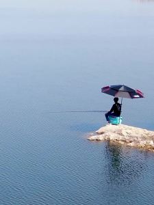 woding | Fishing UV Protection Umbrella