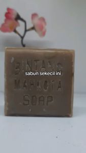 Sabun Ajaib Bintang Mahkota Penghilang Noda Harga 1batang