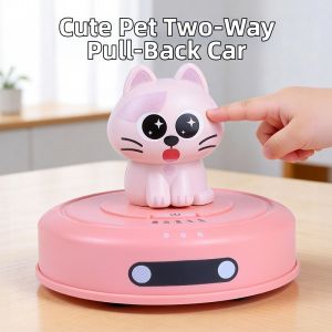 Bidirectional Pull-Back Sweeping Car 1-3 Years