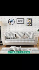 Blumey โฟมซักแห้งทำความสะอาดผ้า องเท้าผ้า โซฟา เบาะรถยนต์ ไม่ต้องล้างน้ำออก Cloth sofa cleaner