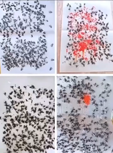 GOMOO Sticky Fly Trap 100PCS Fly Paper Easy To Use Super Strong Adhesive Long Lasting Effect  Glue Board For Lndoor Outdoor Fly Catcher Sticker Sticky Lnsect Trap Fly Trap Catcher Fly Killer Fly Trap