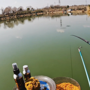 Bingolife Umpan Ikan | Cairan Pemancing | Essen Atraktan | Super Premium Perangsang | 60ml/100ml | Bahan Pemancing | Betok | Nila