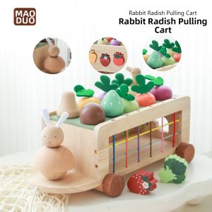 Fruit and Vegetable Shape Matching Pull-along Toy Car Educational Farm Orchard Learning Shape Recognition
