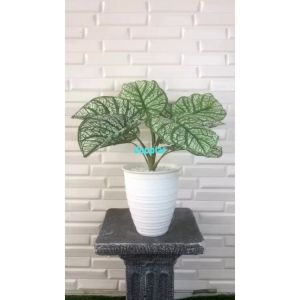Pohon Artificial Tanaman Hias Daun Calladium Putih X9 Semilatex Pot Tawon Pirus Putih Dekorasi Meja Tamu