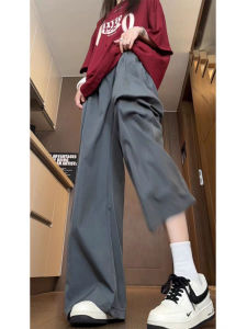 Simple Casual Wide Leg Pants Womens Spring Autumn Commuting Korean Style Sporty Loose Drapey Sunscreen Casual Trousers
