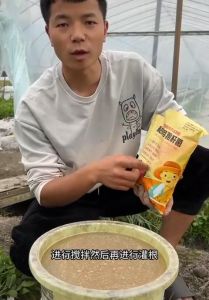 Bacillus Subtilis Loose soil essences 枯草芽孢杆菌  枯草菌 农用微生物菌肥 果树生根 菌肥 有机肥 生根剂 松土剂