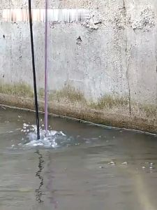 【รับประกัน 5 ปี】 ปั้มดูดน้ำ12v/24v เลือกได้ เงียบมาก ไหลขนาดใหญ่ ระบายน้ำที่แข็งแกร่ง(ปั้มน้ํา dc 12v ไดร์โว่ดูดน้ำ ไดโว่ดูดน้ํา ปั๊มน้ำบ้าน ปั๊มน้ำ ปั๊มจุ่ม ปั๊มน้ำไฟฟ้า ปั้มดูดน้ำลึก ไดว์โว่ดูดน้ำ 12v 24v 220v)