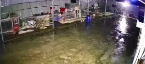 2MP 5MP CCTV AHD ColorVu Camera CVI TVI CVBS 4 IN 1 OSD Menu Switch 1.8mm Lens Panoramic Bullet IP66 Camera [Order Model: SAHD216FC-A SAHD516FC-A]