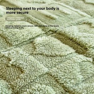 MONLEYTA | Winter Thickened Milk Velvet Mattress Anti-Slip Pad